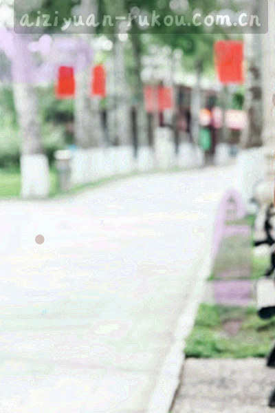 条形与圆形构成的数据图形装饰